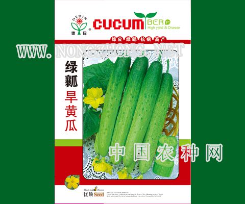 绿瓤旱黄瓜